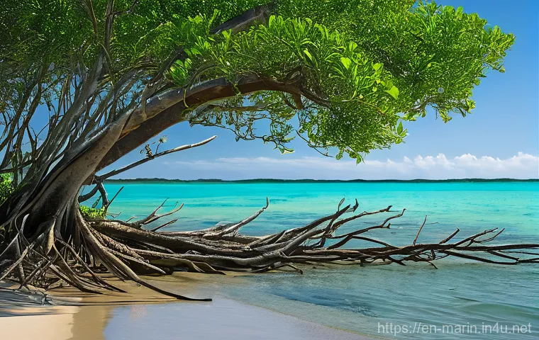 해양의 해수면 상승 - **Prompt:** A familiar street scene in a historic coastal town, now experiencing "nuisance flooding"... 해양의 해수면 상승 - **Prompt:** A familiar street scene in a historic coastal town, now experiencing "nuisance flooding"...